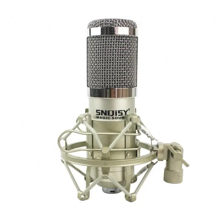 

Hot Sale Professional Microphone Recording With Phone Computer, Black pink blue white