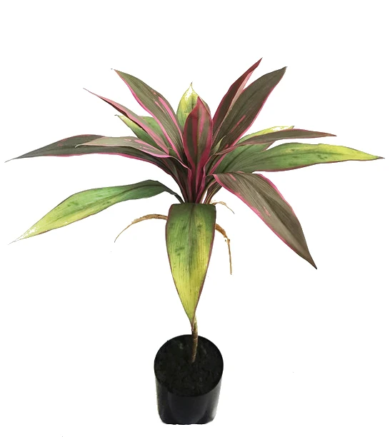 

Wholesale Artificial Red Cycas Tree Faux Plant Artificial Bonsai Tree For Decoration
