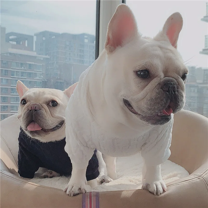 

Hot sale popular new autumn dog cotton sweater clothes warm hooded sweater