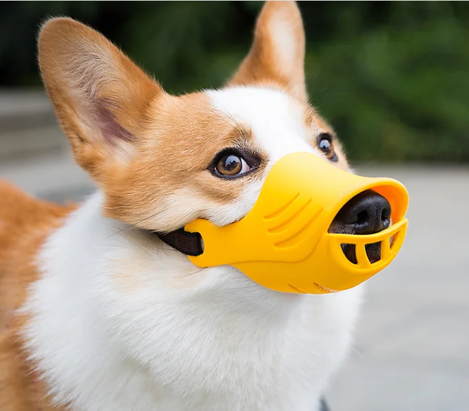 buy dog muzzle online