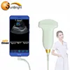 SUN-D1 128 elements abdomen Type-C port USB convex transducer palm ultrasound probe price