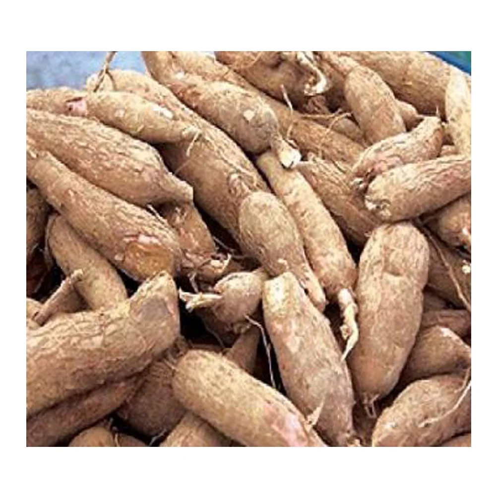 
Top Quality Organic Fresh Cassava for Sale 