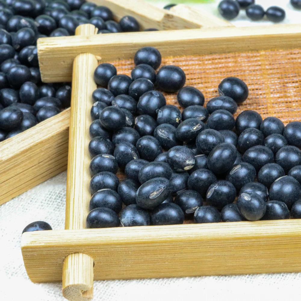 
2020 New Crop Wholesale Bulk Black Soy Beans 