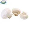 Detan Fresh White Button Mushroom