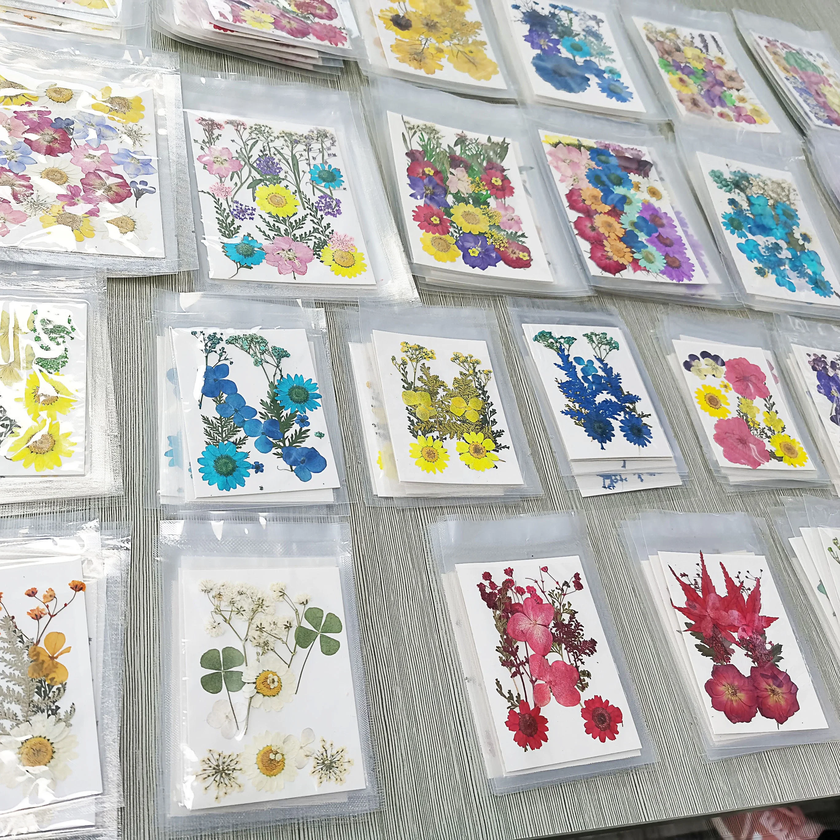 

M031 Handicraft Flower Press Bulk Mixed Pack Fresh Real Pressed Natural dried Flowers dried Pressed Flower for resin