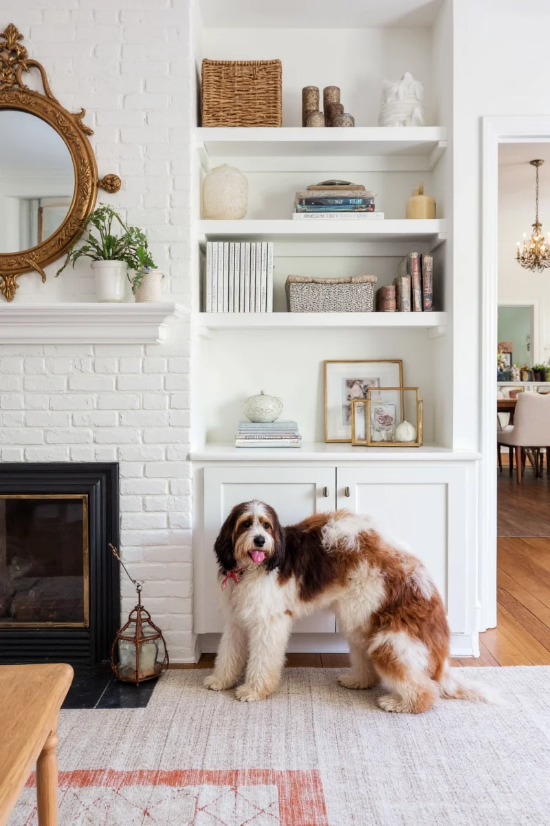 Vintage Staffordshire spaniel pair sitting on a wooden shelf surrounded by books.