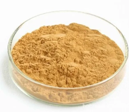 
Natural mango peel extract powder buy Mangiferin 95%  (1600138121978)