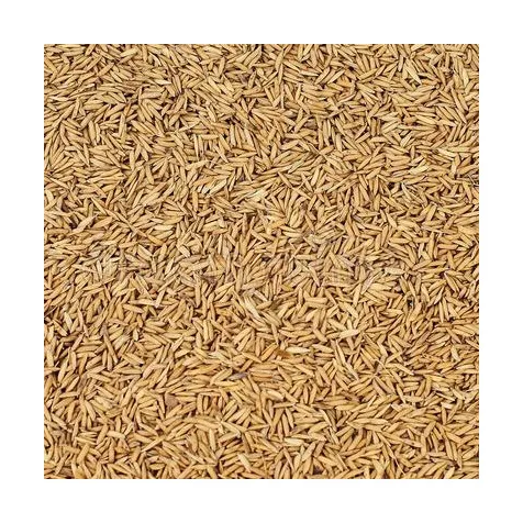 high-quality rice husk biomass rice for sale