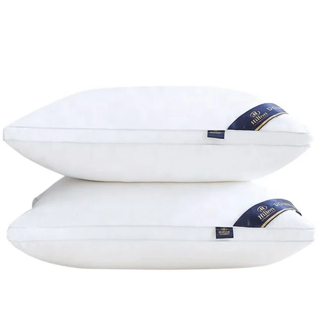 

1000g 48x74cm luxurious hotel sleep experience Hilton Pillow with carry bag