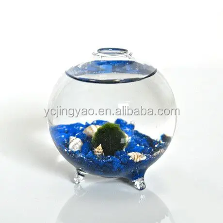 

Handblown Clear Round Glass Fish Bowl Terrariums with Bubble Feet