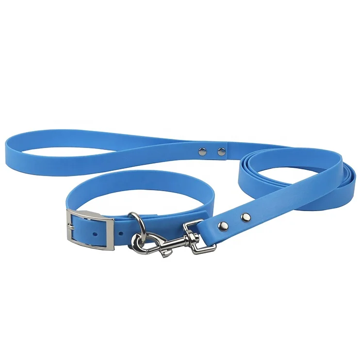 dog collar and leash 7.jpg