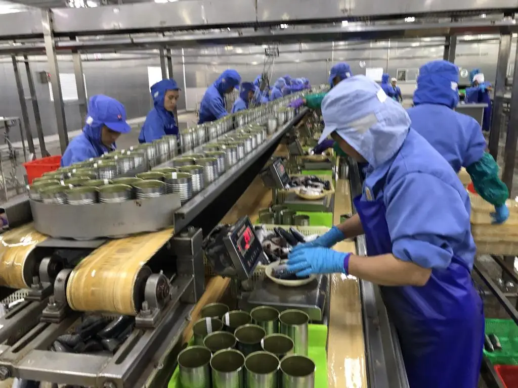 fish factory (3)