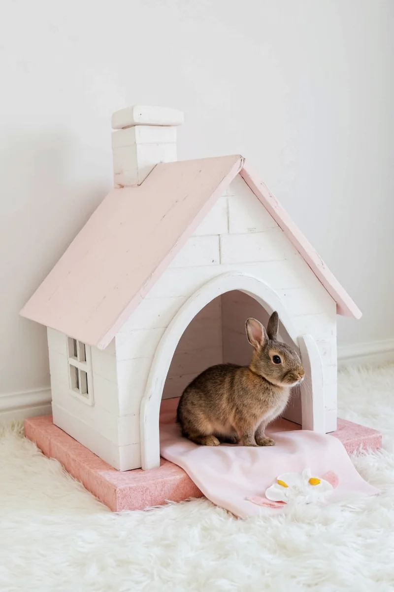A beautifully designed DIY bunny house in a modern living room with matching furniture.