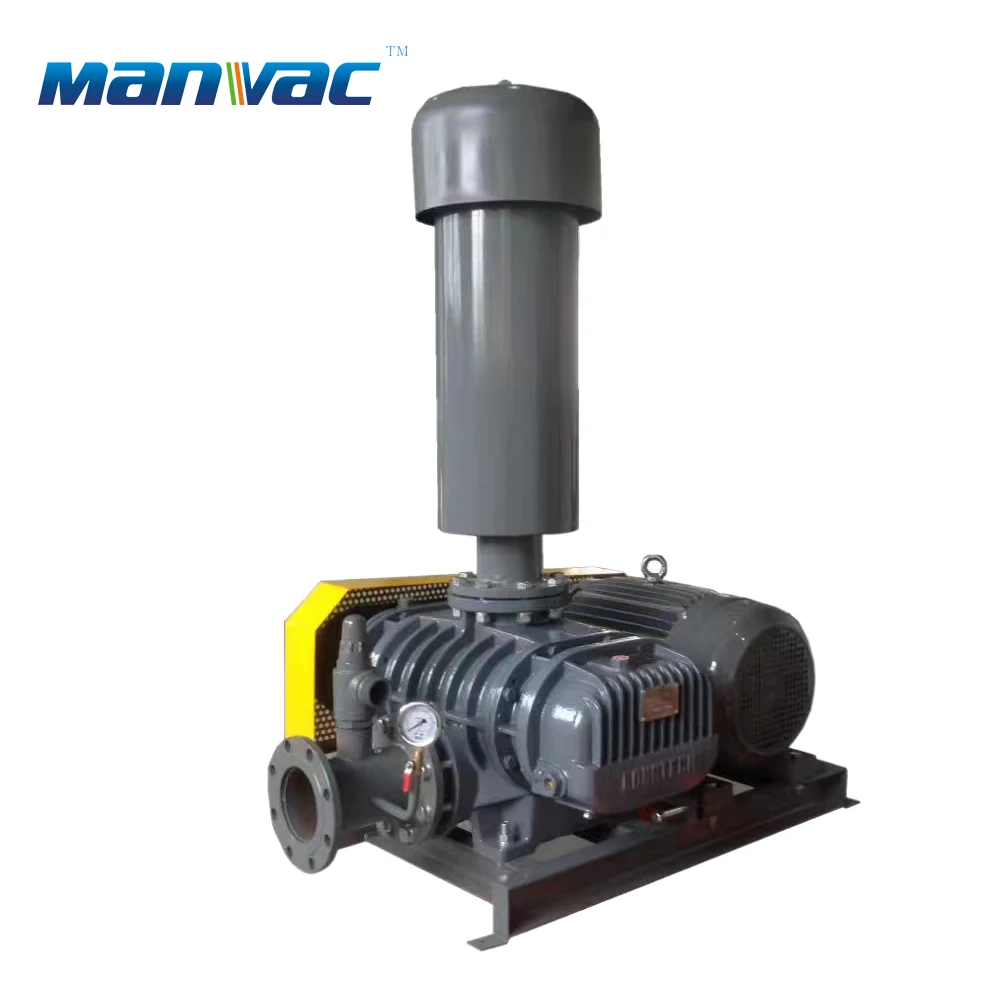 Roots Blower, 5hp, 10hp/20hp - detail 4