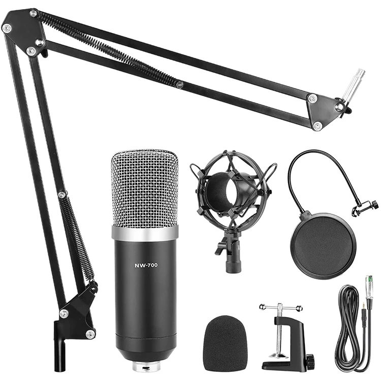 

Professional Microfone Condens Voice Recorder USB Microphone with Scissor Arm Stand Pop Filter Mounting Clamp