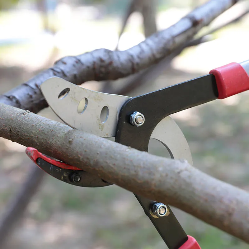 Cut Thick Branches Telescopic Long Handle Pruner Pruning Shears Tool