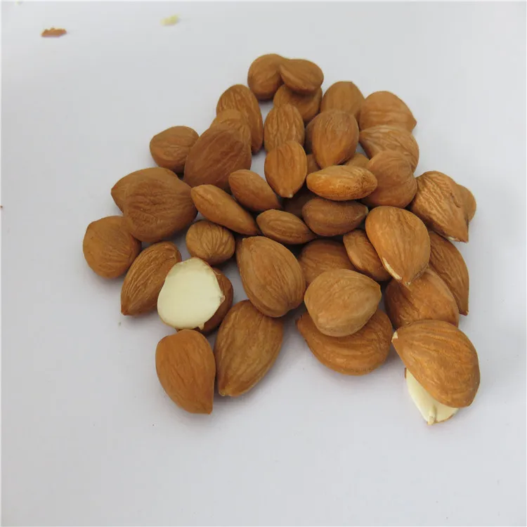 
100% Dried Apricot Kernel 