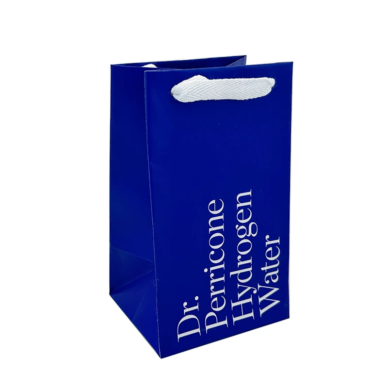 

Low MOQ 10x5x13 Inches Flower Paper Bags With Twisted Handles