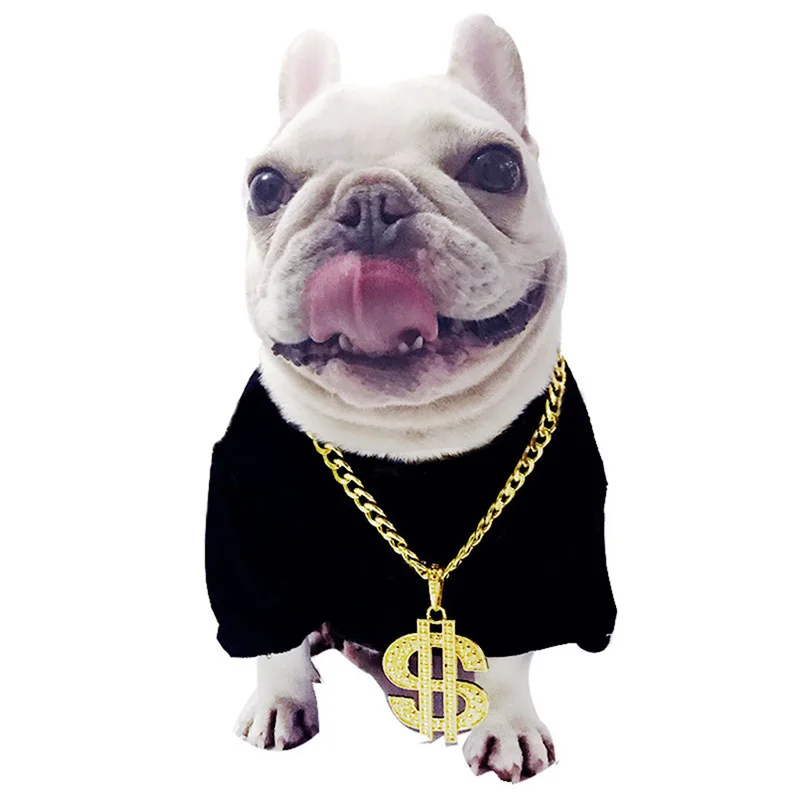 美元吊坠合金项链为狗时尚豪华金色长链为比特犬宠物狗项圈饰品配件