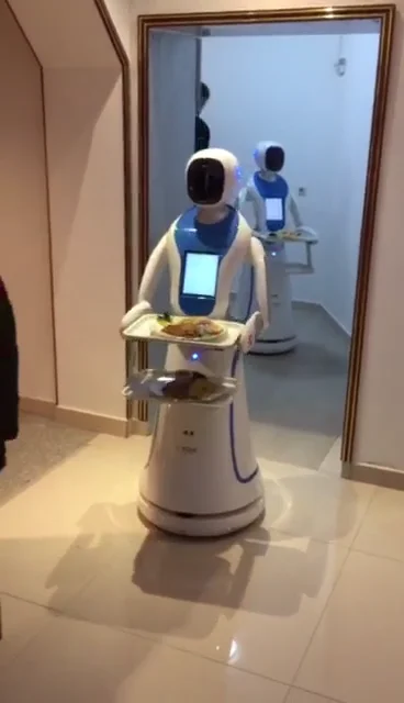 Hot Sale Of High-quality Intelligent Robots In 2018 To Serve Hotels ...