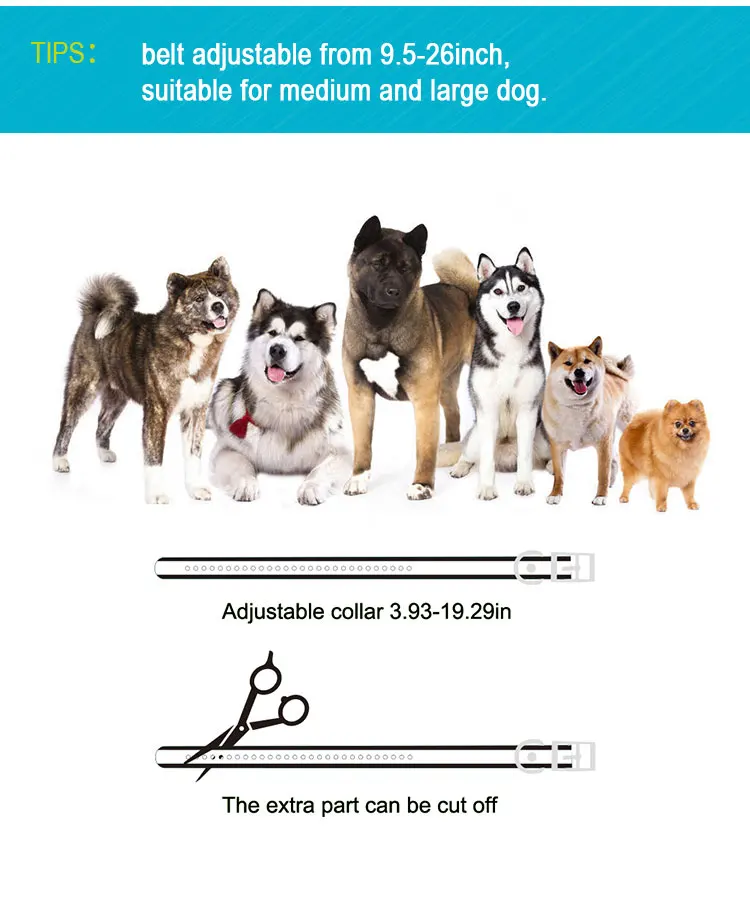 bark collar (3).jpg