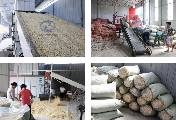 mash belt drying machine