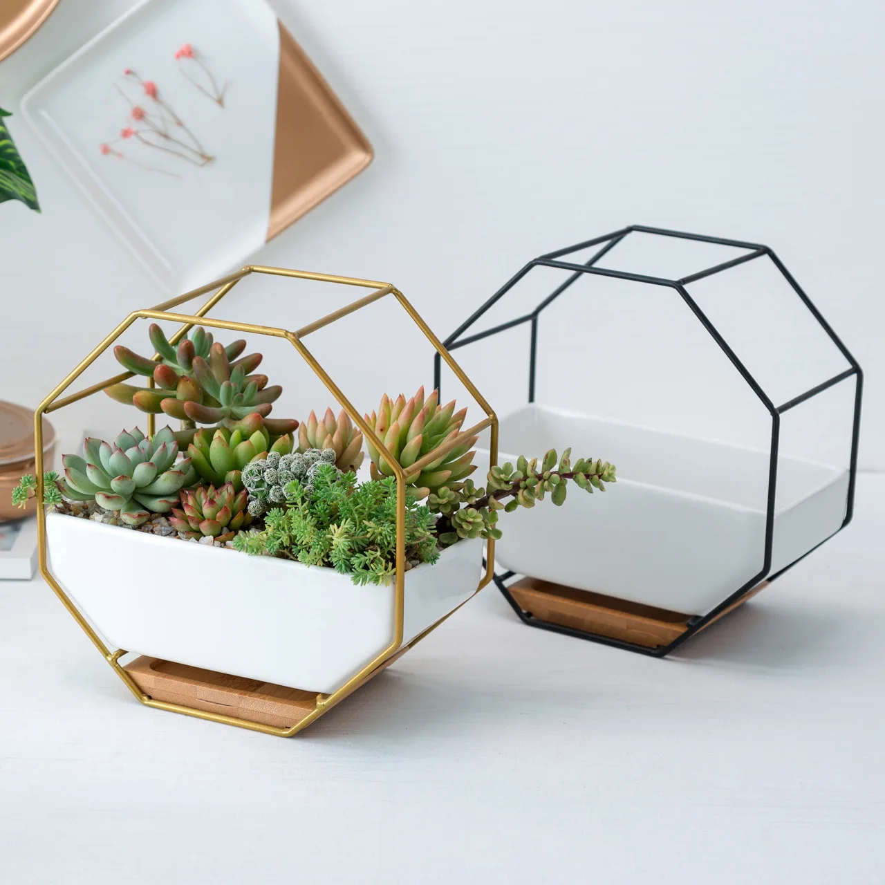 

Planting Octagonal Wall-mounted Iron Ceramic Succulent Flower Pot Set Wall Decoration
