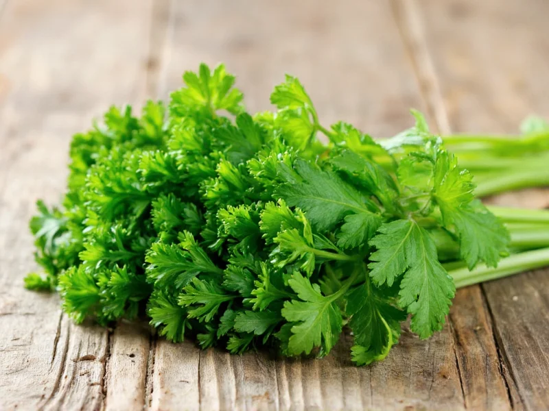 Parsley vs Cilantro: Key Differences and Uses Explained
