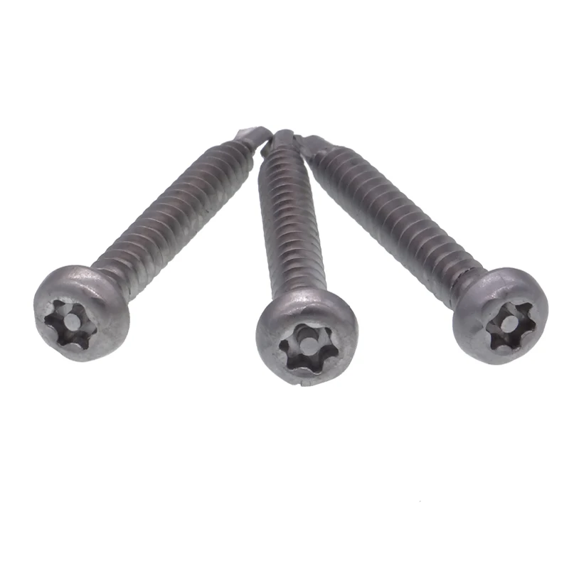 Ss Screw Stainless Steel Pin Head Torx Self Drilling Screws Buy Pin Head Torx Screw,Torx Self