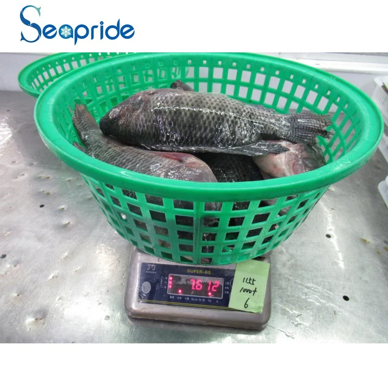 
Hot Sale Whole Round 90%NW Frozen Black Tilapia Fish Price per kg 