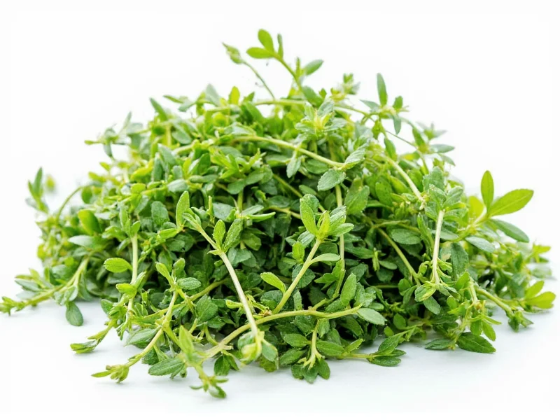 Top 7 Thyme Substitutes: Best Alternatives for Cooking