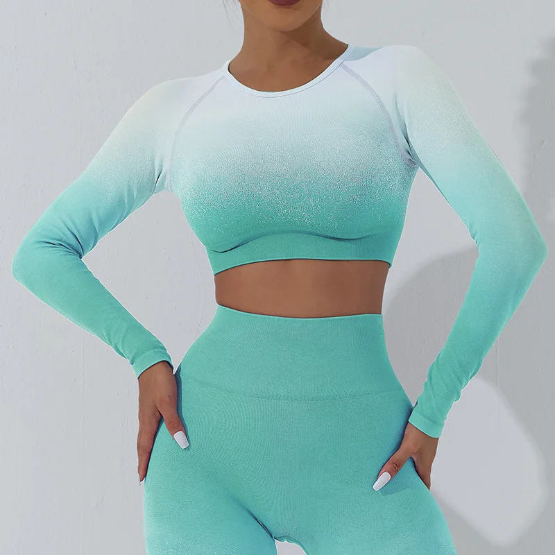 

Winter Gradient Custom Logo Seamless Gym Wear Long Sleeve Sportswear Women Fitness Yoga Crop Top