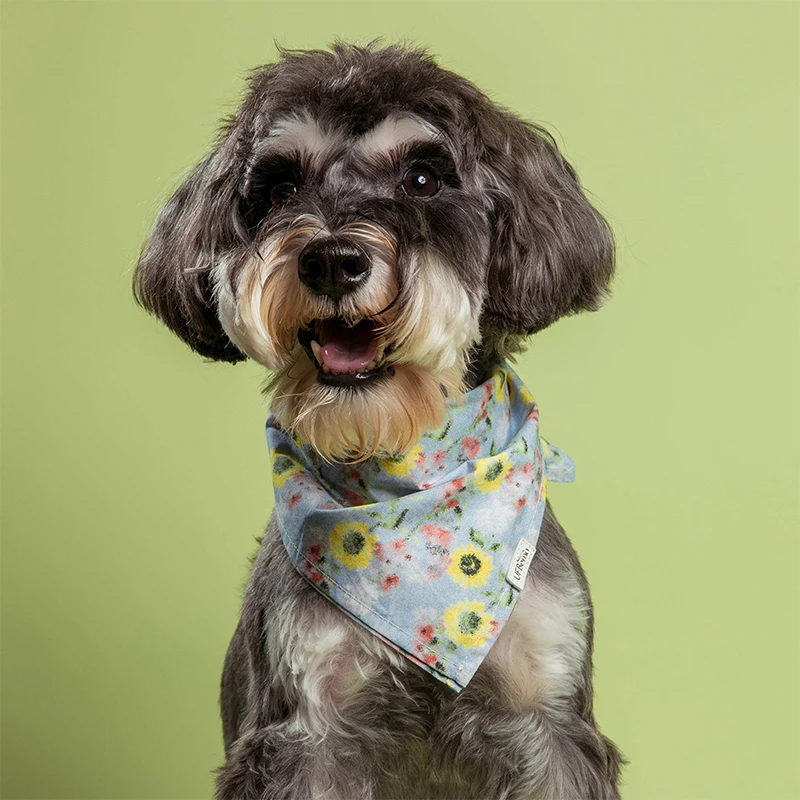 daisy bandana.jpg