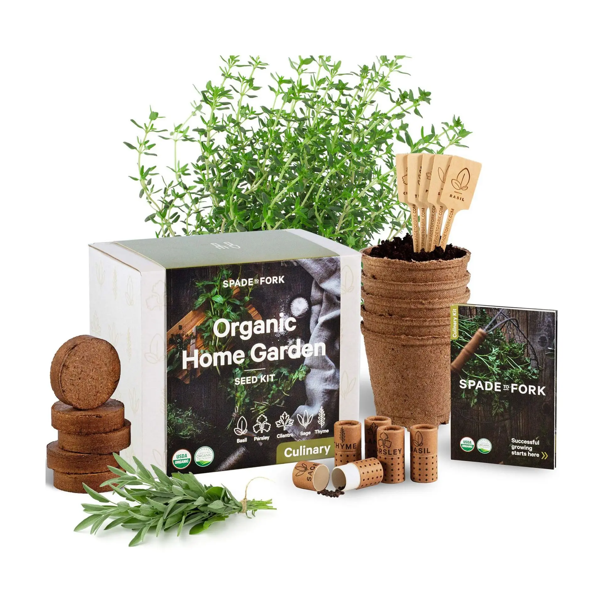 
Bonsai Starter Kit  DIY Indoor Bonsai Tree Seeds Includes Pots Seeds Soil Pellets Markers Instruction Booklet Beginner Friendly  (1600078908601)