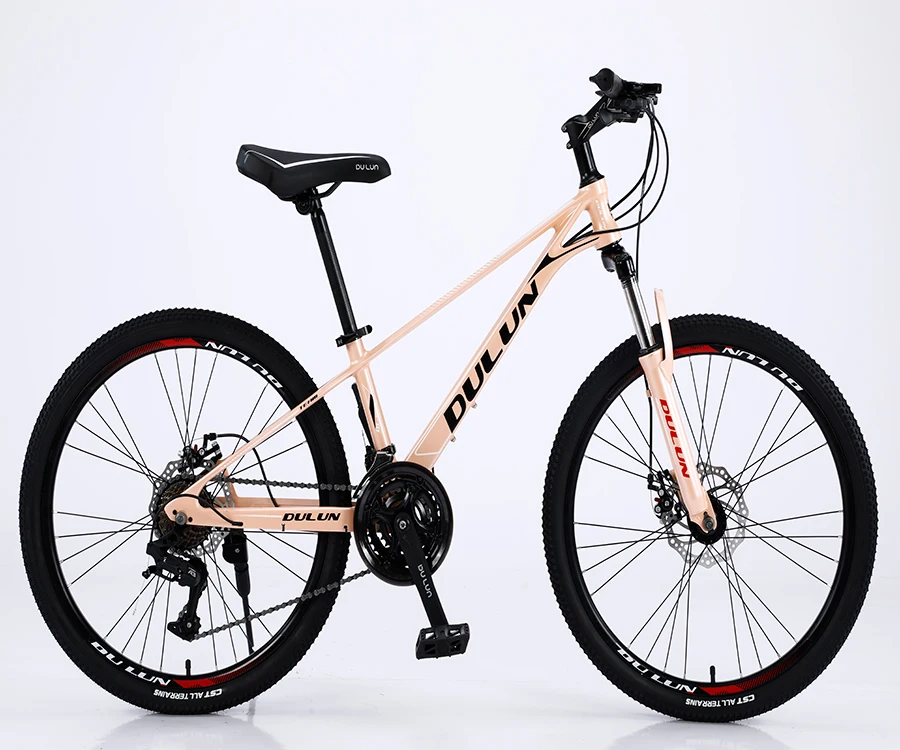 

Factory 24" Children Men Women Magnesium Mountain Bike Bicycle Road Bike Magnesium Alloy Bike City Road Bicycle