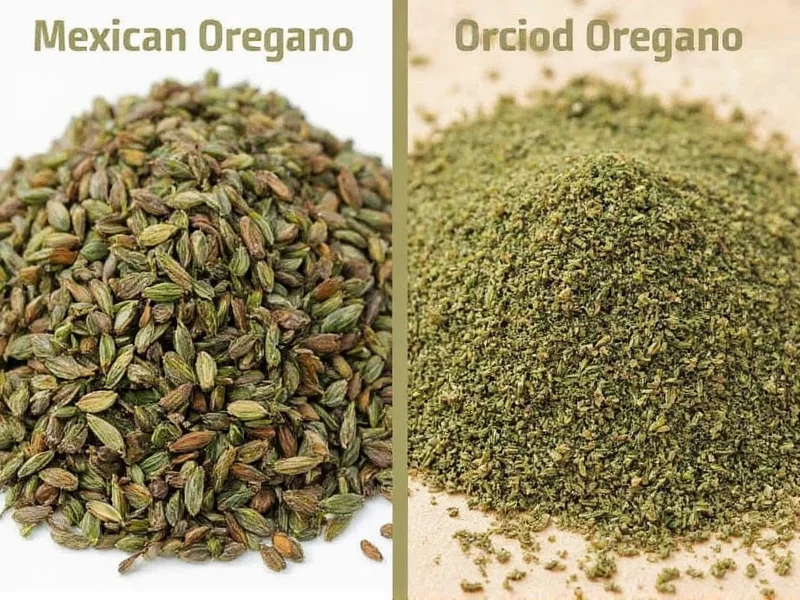 Mexican vs Regular Oregano: Key Differences Explained