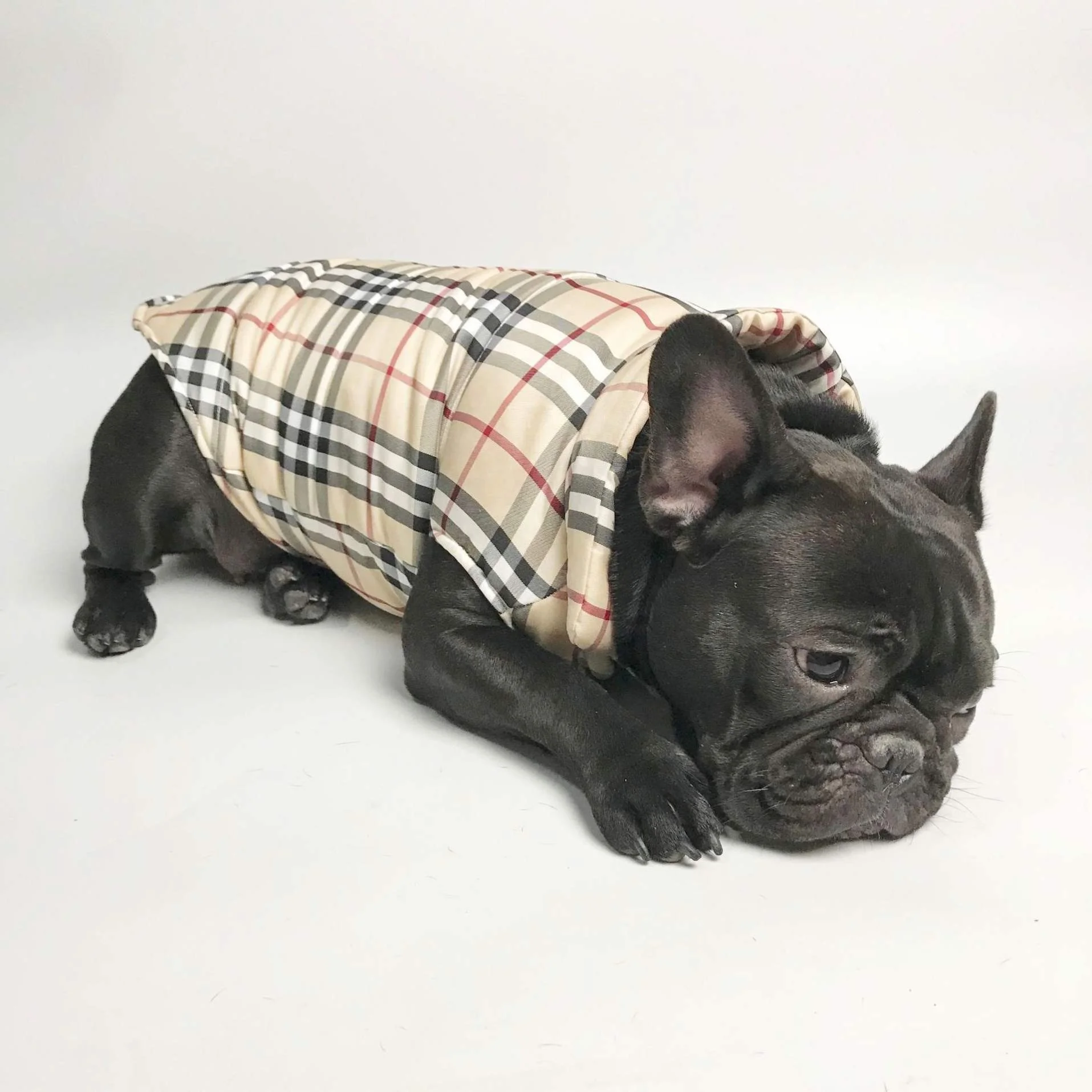 

Xmjiahuang Pet Cloth Autumn And Winter Dog and Cat Vest With Cotton Plaid Vest