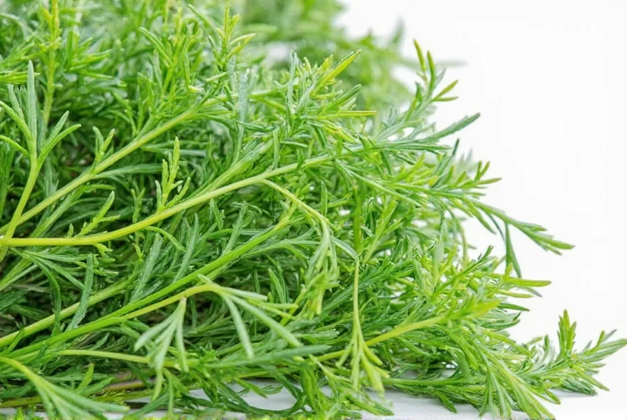 Fresh dill herb with feathery green leaves on wooden cutting board