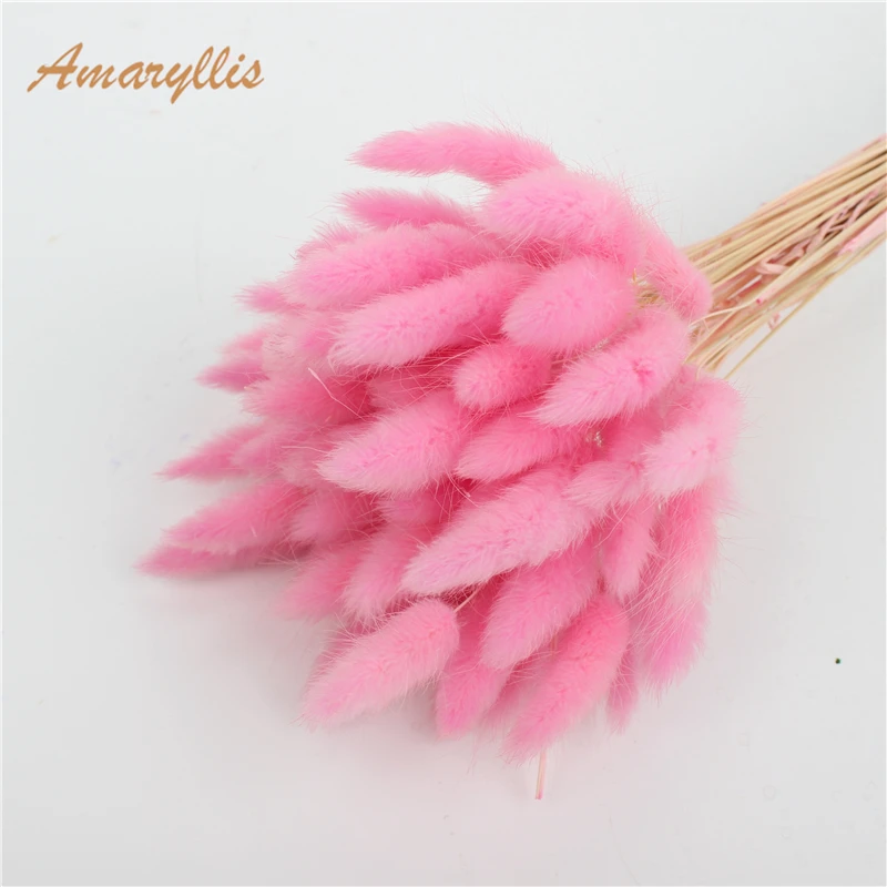 Wholesale Soft Real Preserved Flowers Dried Lagurus Eternal Forever