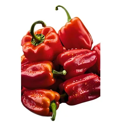 fresh chili