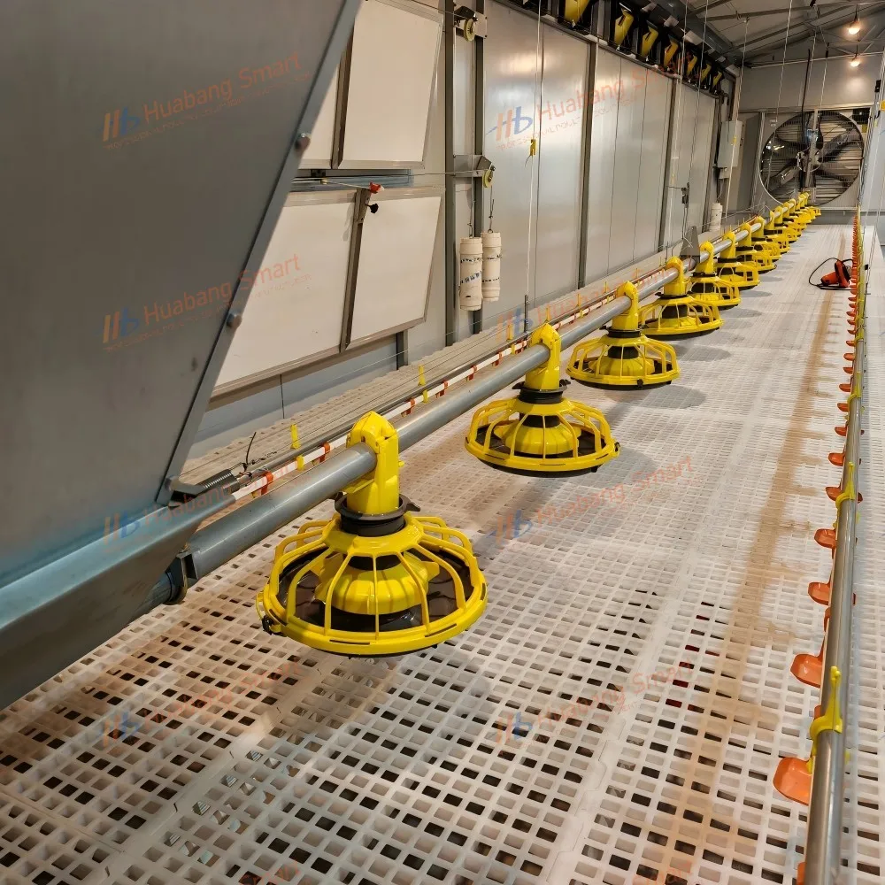Automatic Feeder Line
