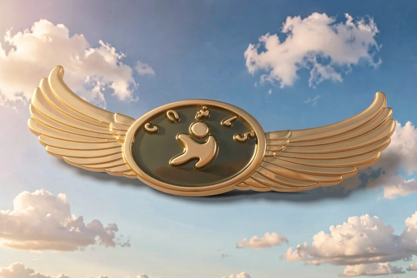 top selling pilot badges