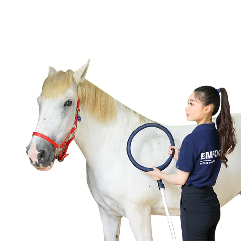 PMST LOOP Magnetic therapy for Equine Therapy Machine