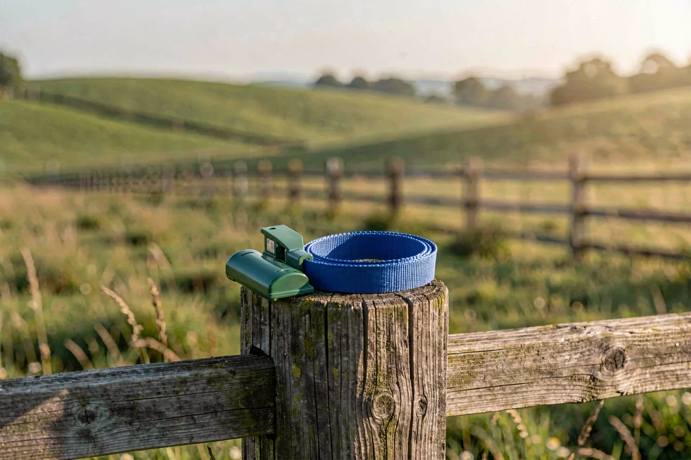 Custom RFID-enabled cattle collar