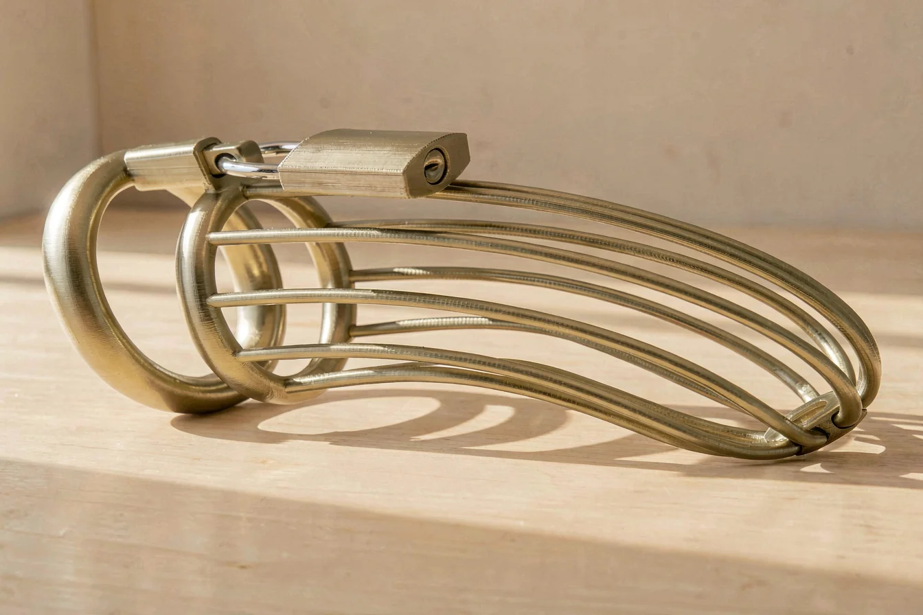 customizable 3D printed chastity devices