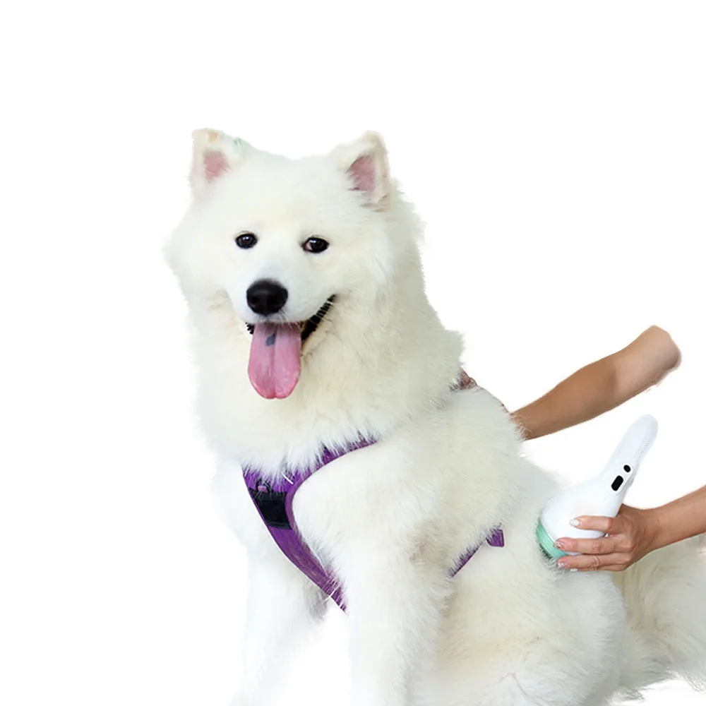 EMFOCUS Focused shockwave therapy for Dog Pain Relief