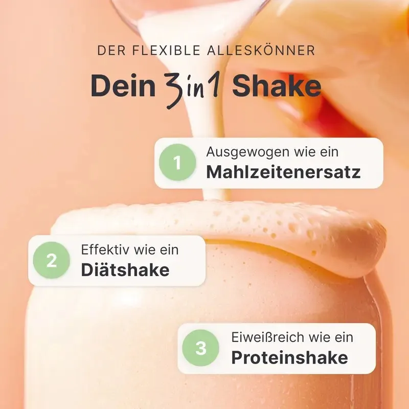 3 in 1 Shake Concept