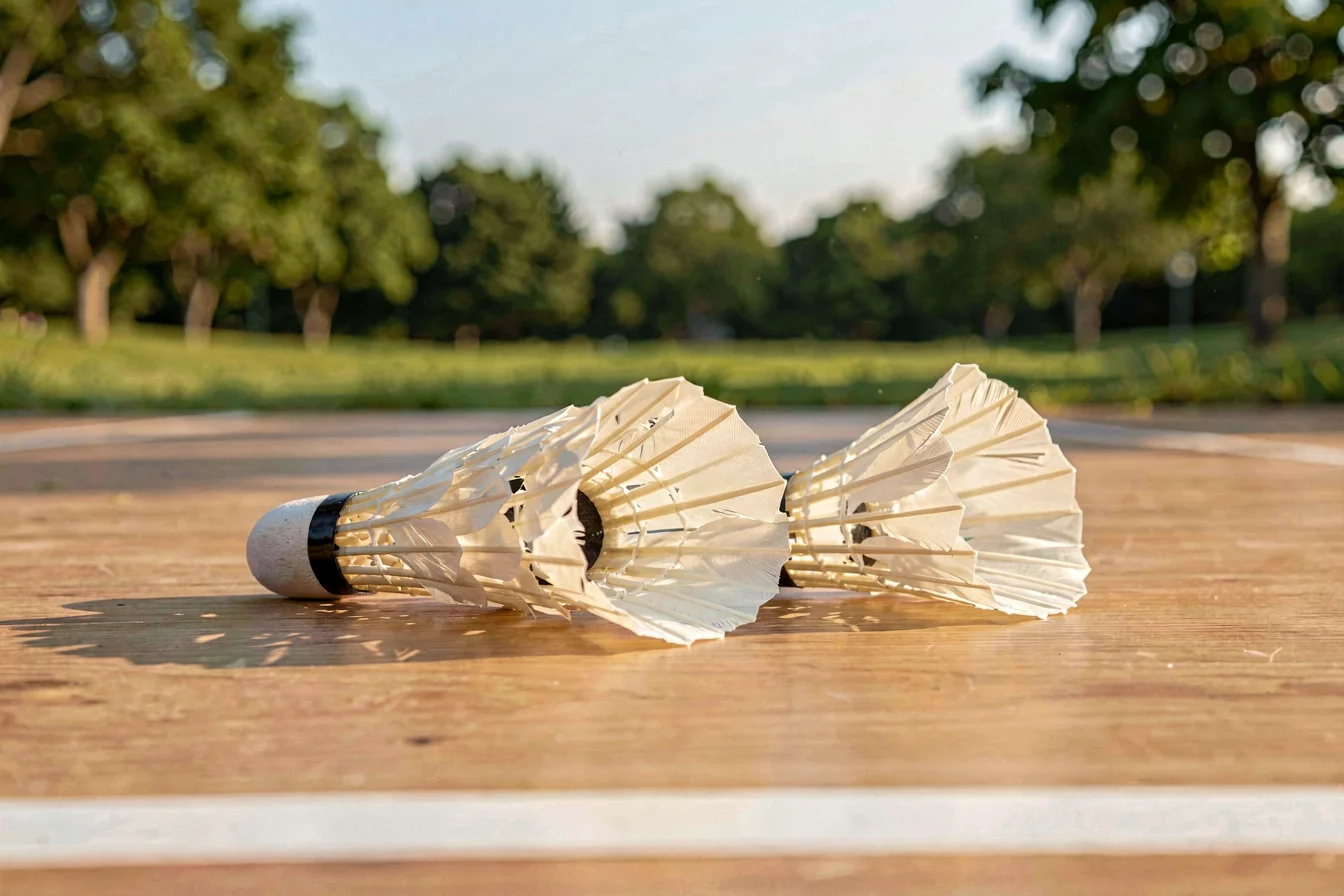 Premium Victor shuttlecock