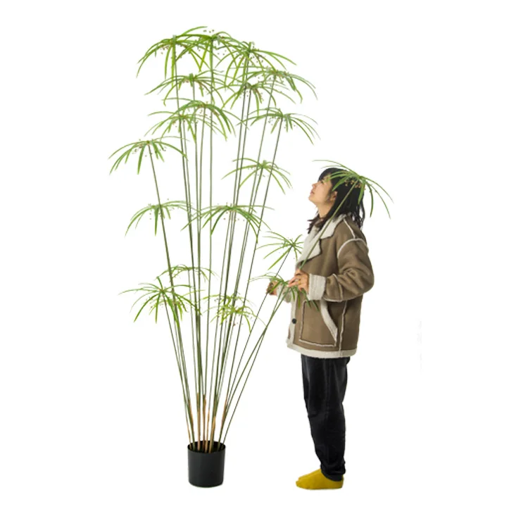 

Cheap  plastic Amazon for store garden decoration artificial water bamboo Phyllostachys heteroclada Oliver Artificial tree, Green or yellow edge
