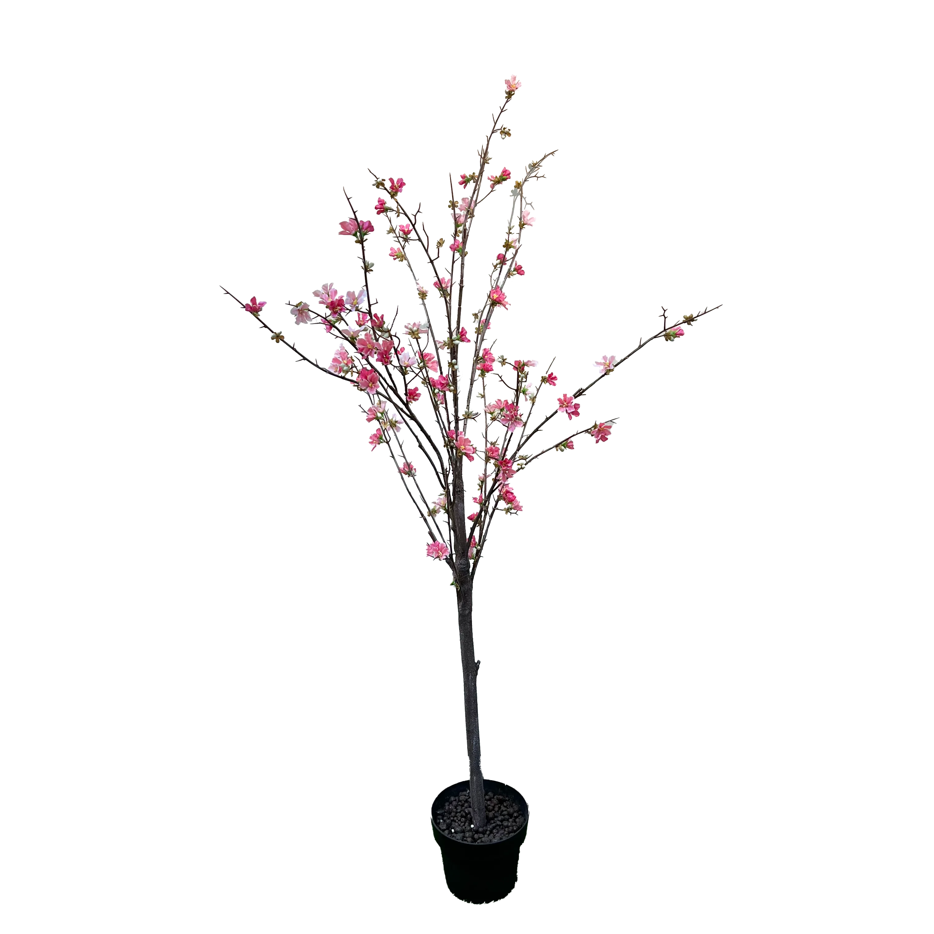 

factory sale plastic pink indoor outdoor autumn big artificial cherry blossom tree in black plastic pot Rustic department store